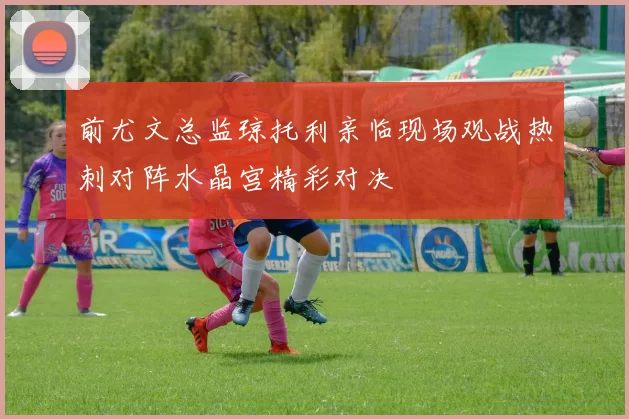 前尤文总监琼托利亲临现场观战热刺对阵水晶宫精彩对决